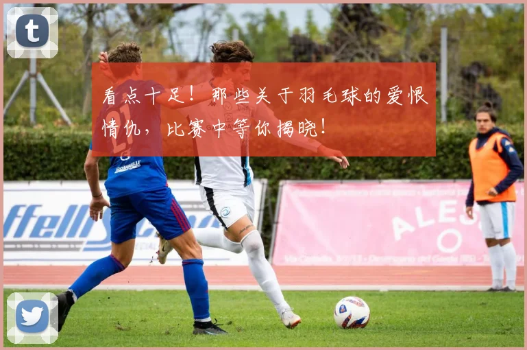 看点十足！那些关于羽毛球的爱恨情仇，比赛中等你揭晓！