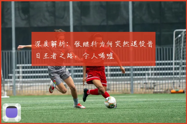 深度解析：张继科为何突然退役昔日王者之路，令人唏嘘