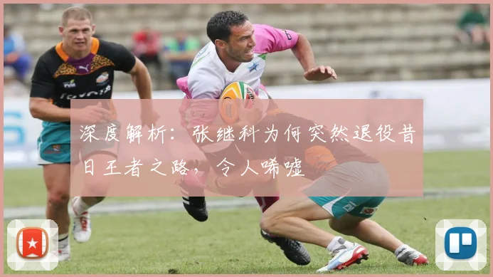 深度解析：张继科为何突然退役昔日王者之路，令人唏嘘